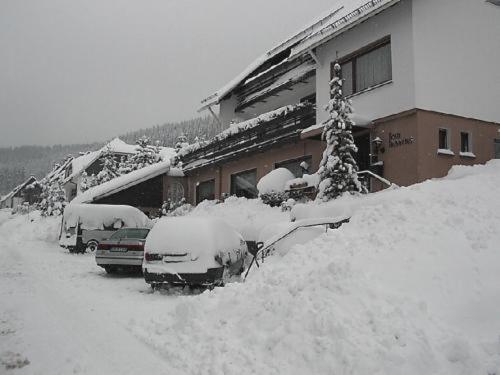 Haus Hubertus Hotel Winterberg Exterior foto